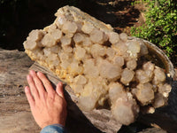 Natural XXXL Cascading White Phantom Smokey Quartz Cluster x 1 From Luena, Congo