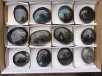 Polished Flashy Labradorite Palm Stones  x 12 From Madagascar - TopRock