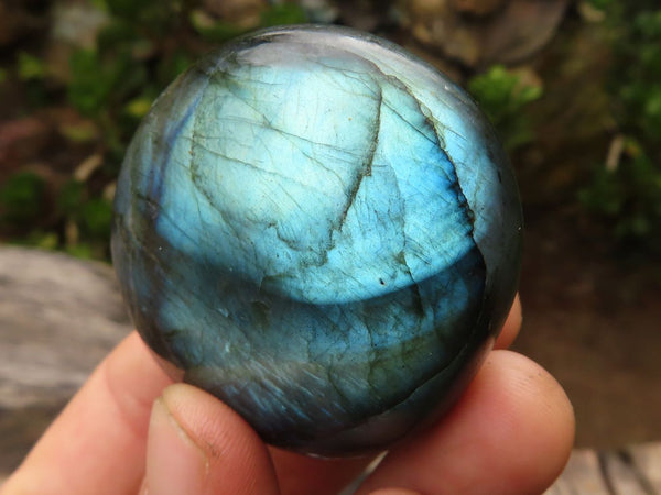 Polished Flashy Labradorite Palm Stones  x 12 From Madagascar - TopRock