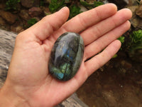 Polished Flashy Labradorite Palm Stones  x 12 From Madagascar - TopRock