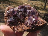 Natural Dark Amethyst Crystal Geodes & Plates  x 12 From Zululand, South Africa - TopRock