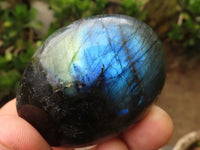 Polished Flashy Labradorite Palm Stones  x 12 From Madagascar - TopRock