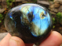 Polished Flashy Labradorite Palm Stones  x 12 From Madagascar - TopRock