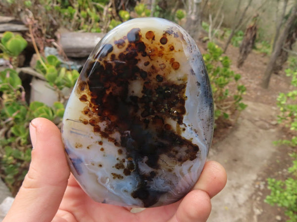 Polished Agate Standing Free Forms x 6 From West Coast, Madagascar