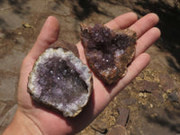 Natural Dark Amethyst Crystal Geodes & Plates  x 12 From Zululand, South Africa - TopRock