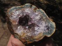 Natural Dark Amethyst Crystal Geodes & Plates  x 12 From Zululand, South Africa - TopRock