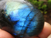 Polished Flashy Labradorite Palm Stones  x 12 From Madagascar - TopRock