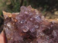 Natural Dark Amethyst Crystal Geodes & Plates  x 12 From Zululand, South Africa - TopRock