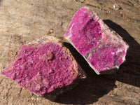 Natural Salrose Cobaltion Dolomite Specimens x 12 From Kakanda, Congo