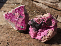 Natural Salrose Cobaltion Dolomite Specimens x 12 From Kakanda, Congo