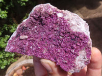 Natural Pink Salrose Cobaltion Dolomite Specimens  x 6 From Congo - Toprock Gemstones and Minerals 