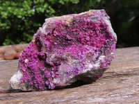 Natural Pink Salrose Cobaltion Dolomite Specimens  x 6 From Congo - Toprock Gemstones and Minerals 