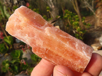 Natural New Sunset Orange Calcite Specimens  x 24 From Spitzkop, Namibia