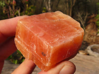 Natural New Sunset Orange Calcite Specimens  x 24 From Spitzkop, Namibia