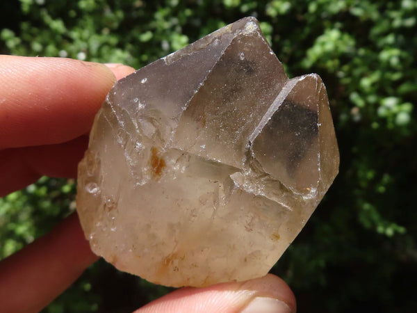 Polished Single Smokey Quartz Crystals  x 24 From Zimbabwe - TopRock