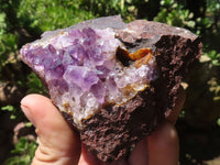 Natural Amethyst In Basalt Geode Specimens  x 12 From Zululand, South Africa - TopRock