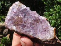 Natural Amethyst In Basalt Geode Specimens  x 12 From Zululand, South Africa - TopRock