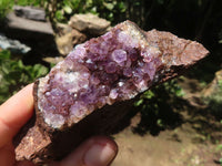 Natural Amethyst In Basalt Geode Specimens  x 12 From Zululand, South Africa - TopRock