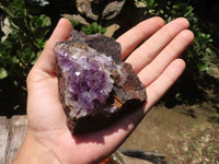 Natural Amethyst In Basalt Geode Specimens  x 12 From Zululand, South Africa - TopRock