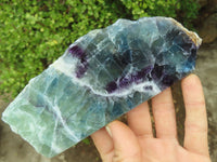 Polished Watermelon Fluorite Standing Slabs  x 3 From Uis, Namibia