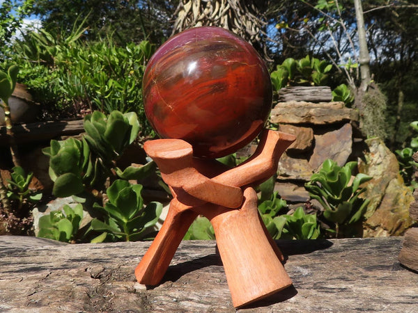 Polished Petrified Red Podocarpus Wood Sphere With Rosewood Stand x 1 From Madagascar - Toprock Gemstones and Minerals 