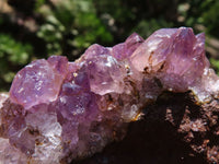 Natural Amethyst In Basalt Geode Specimens  x 12 From Zululand, South Africa - TopRock