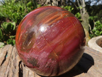 Polished Petrified Red Podocarpus Wood Sphere With Rosewood Stand x 1 From Madagascar - Toprock Gemstones and Minerals 