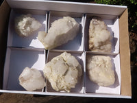 Natural "Cathedral Window" Candle Quartz Formations  x 6 From Madagascar - Toprock Gemstones and Minerals 