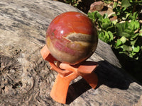 Polished Petrified Red Podocarpus Wood Sphere With Rosewood Stand x 1 From Madagascar - Toprock Gemstones and Minerals 