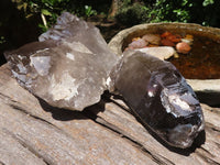 Natural Large Smokey Quartz Crystals  x 2 From Melanje, Malawi - TopRock