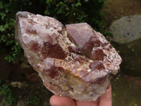 Natural Red Hematite Quartz Clusters  x 2 From Karoi, Zimbabwe - TopRock