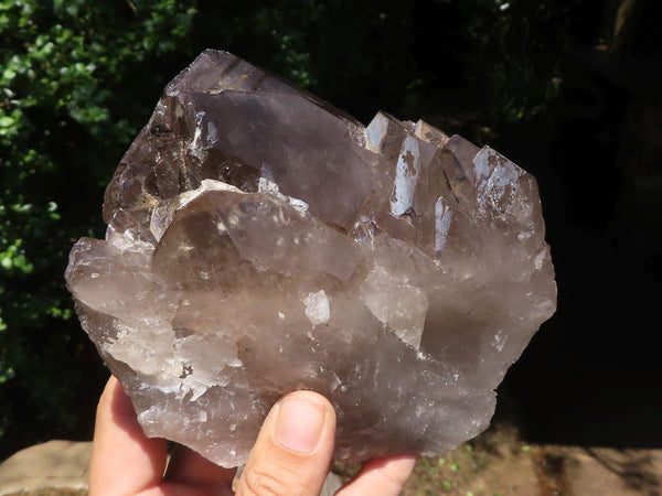 Natural Large Smokey Quartz Crystals  x 2 From Melanje, Malawi - TopRock