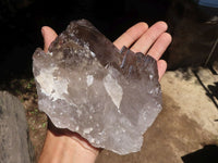 Natural Large Smokey Quartz Crystals  x 2 From Melanje, Malawi - TopRock