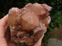 Natural Red Hematite Quartz Clusters  x 2 From Karoi, Zimbabwe - TopRock