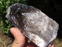 Natural Large Smokey Quartz Crystals  x 2 From Melanje, Malawi - TopRock