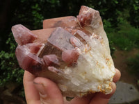 Natural Red Hematite Quartz Clusters  x 2 From Karoi, Zimbabwe - TopRock