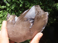 Natural Large Smokey Quartz Crystals  x 2 From Melanje, Malawi - TopRock