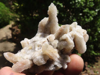 Natural Mixed Spirit Quartz Clusters  x 24 From Boekenhouthoek, South Africa - TopRock