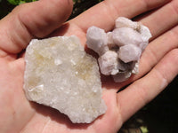 Natural Mixed Spirit Quartz Clusters  x 24 From Boekenhouthoek, South Africa - TopRock