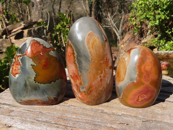 Polished Polychrome Jasper Standing Free Forms  x 3 From Madagascar