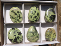 Polished Extra Large Leopard Stone Free Forms  x 6 From Zimbabwe - TopRock