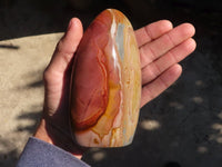 Polished Polychrome Jasper Standing Free Forms  x 3 From Madagascar