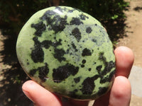 Polished Extra Large Leopard Stone Free Forms  x 6 From Zimbabwe - TopRock