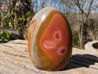 Polished Polychrome Jasper Standing Free Forms  x 3 From Madagascar