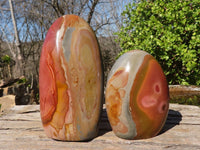 Polished Polychrome Jasper Standing Free Forms  x 3 From Madagascar