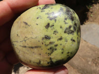 Polished Extra Large Leopard Stone Free Forms  x 6 From Zimbabwe - TopRock