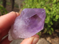 Natural Jacaranda Amethyst Crystals x 12 From Mumbwa, Zambia