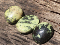 Polished Extra Large Leopard Stone Free Forms  x 6 From Zimbabwe - TopRock