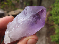 Natural Jacaranda Amethyst Crystals x 12 From Mumbwa, Zambia