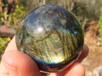 Polished  Small Flashy Labradorite Spheres  x 6 From Tulear, Madagascar